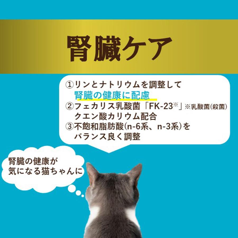 アイシア i CARE 腎臓ケア まぐろペースト キャットフード 35g×96個セット 国産_5
