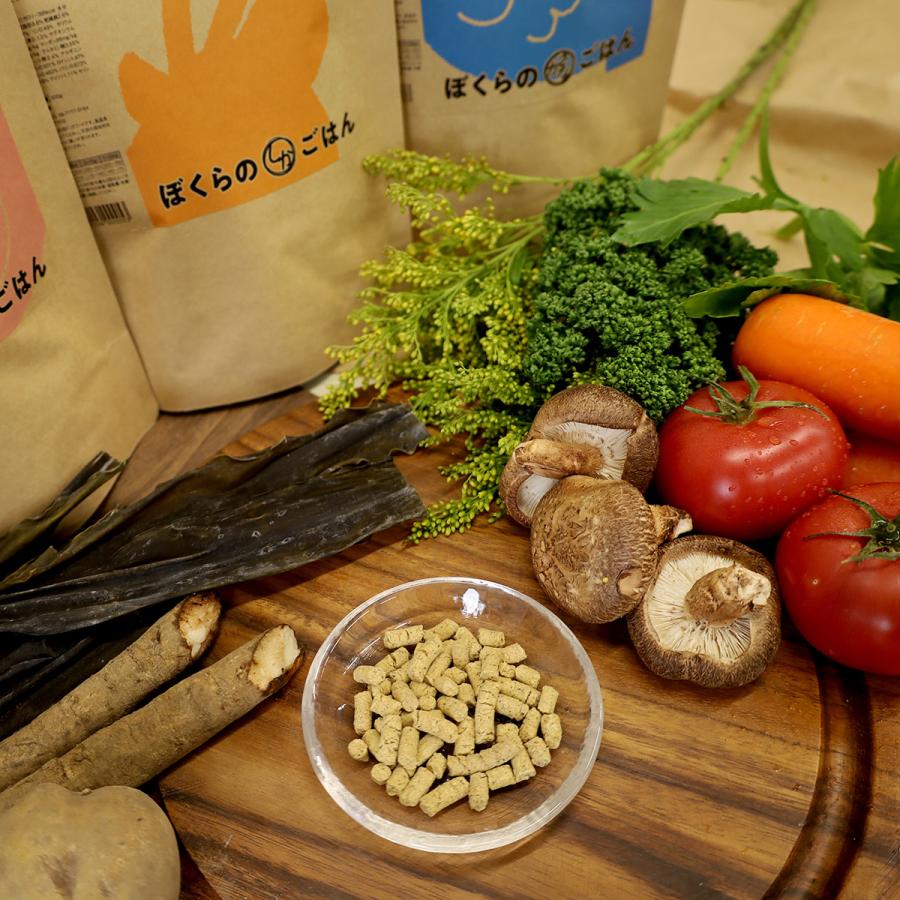 PURSUIT OF LOVE ぼくらのぶたごはん 1.2kg×3個セット : コジコジ