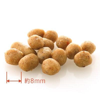 ドットわん 豚ごはん 500g×3袋セット＋ドットわんおやつ1個（ドット
