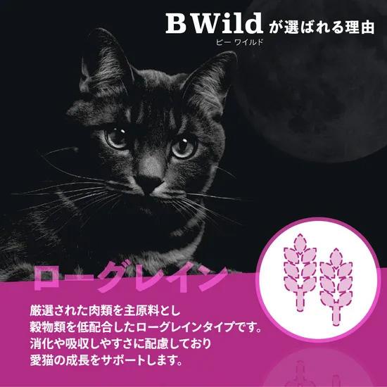 ビーワイルド B Wild キャットフード アンチョビ用 ローグレイン 2kg