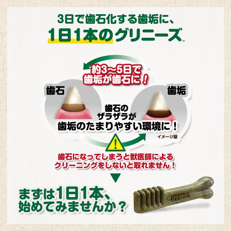 グリニーズプラス カロリーケア 超小型犬用 体重2-7kg 30本入り | グリニーズ | 04