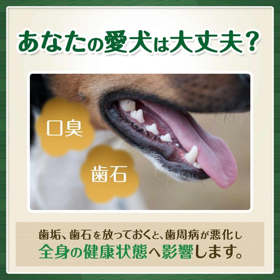 グリニーズプラス 口臭ケア 超小型犬用 体重2-7kg 6本入り｜koji｜06