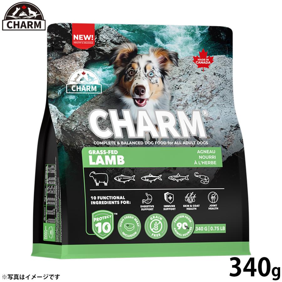 チャーム CHARM グラスフェッドラム ラム肉 ドッグフード グレインフリー 340g 無添加 穀物不使用 犬 | 