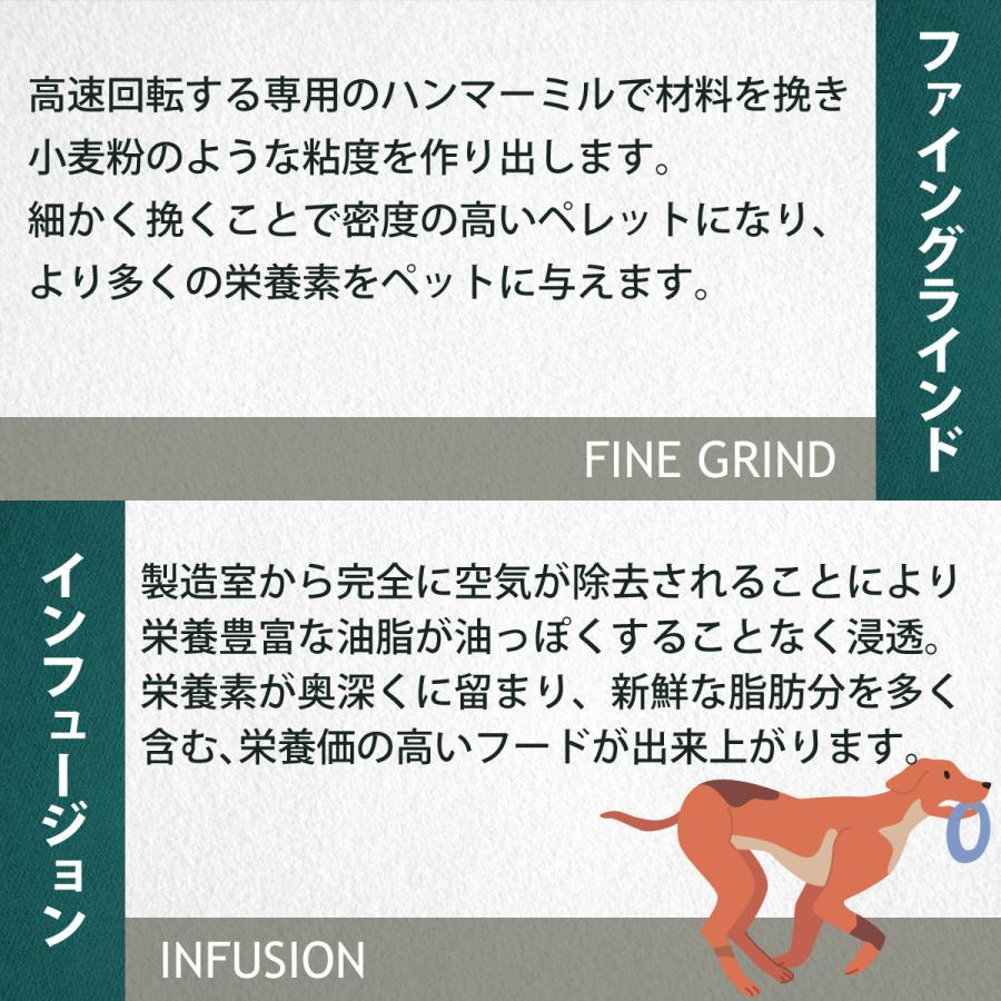 チャーム CHARM ドッグフード ラム＆サーモンドッグ 全年齢用 穀物不