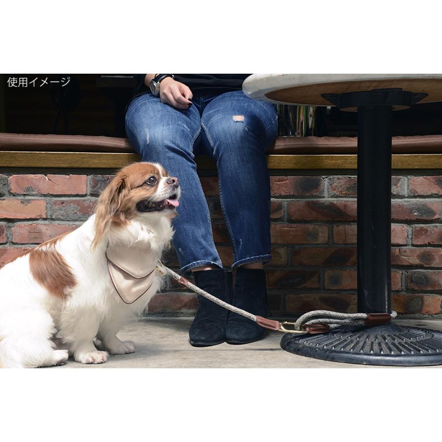 ハイ5ドッグ クリックリード 5mm レッド（係留 犬 HIGH5DOGS