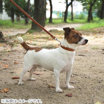 コロコ 栃木レザー カラー（首輪） 15mm ライトブラウン本革