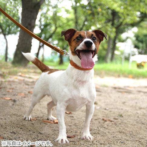 コロコ 栃木レザー カラー（首輪） 18mm ライトブラウン本革