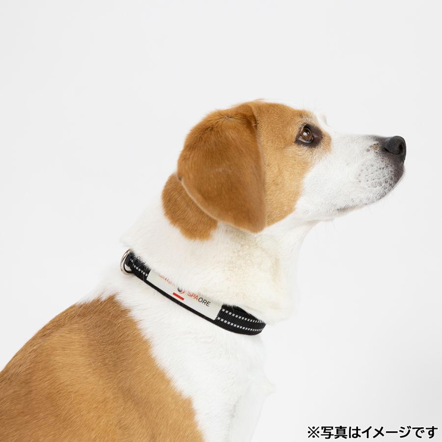 ペタプラス YORISOUカラー 犬用首輪 M ブラック スパオール テラクール