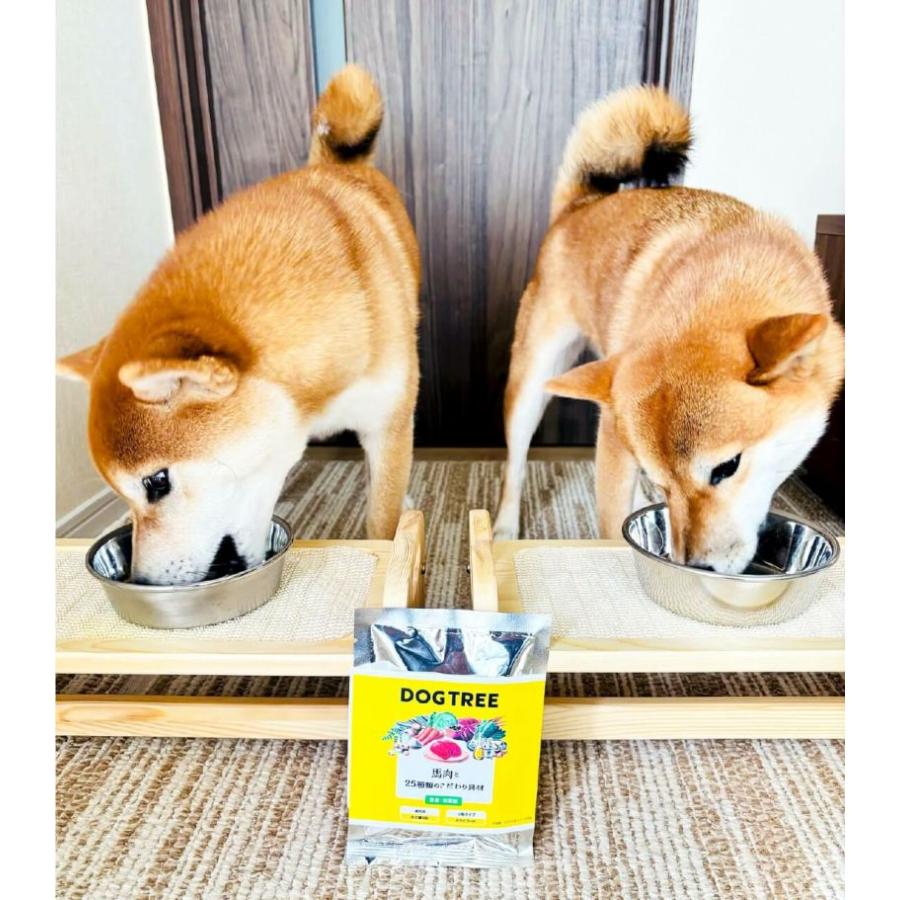 DOGTREE ドッグツリードッグフード 1.8kg(200g×9袋)