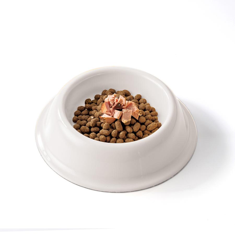 ドットにゃん ごはん 60g 猫用 無添加 おやつ キャットフード