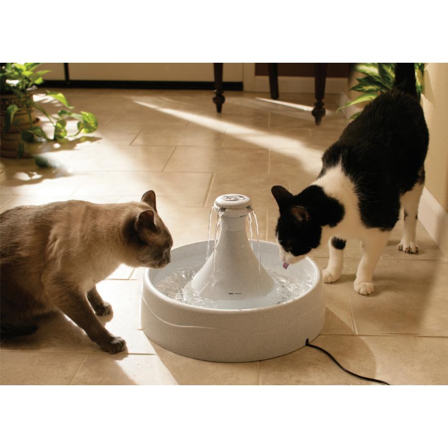 PetSafe(ペットセーフ) ドリンクウェル 360 ペットファウンテン khxv5rg PetSafe ペットセーフ ドリンクウェル 360 ペットファウンテン【送料