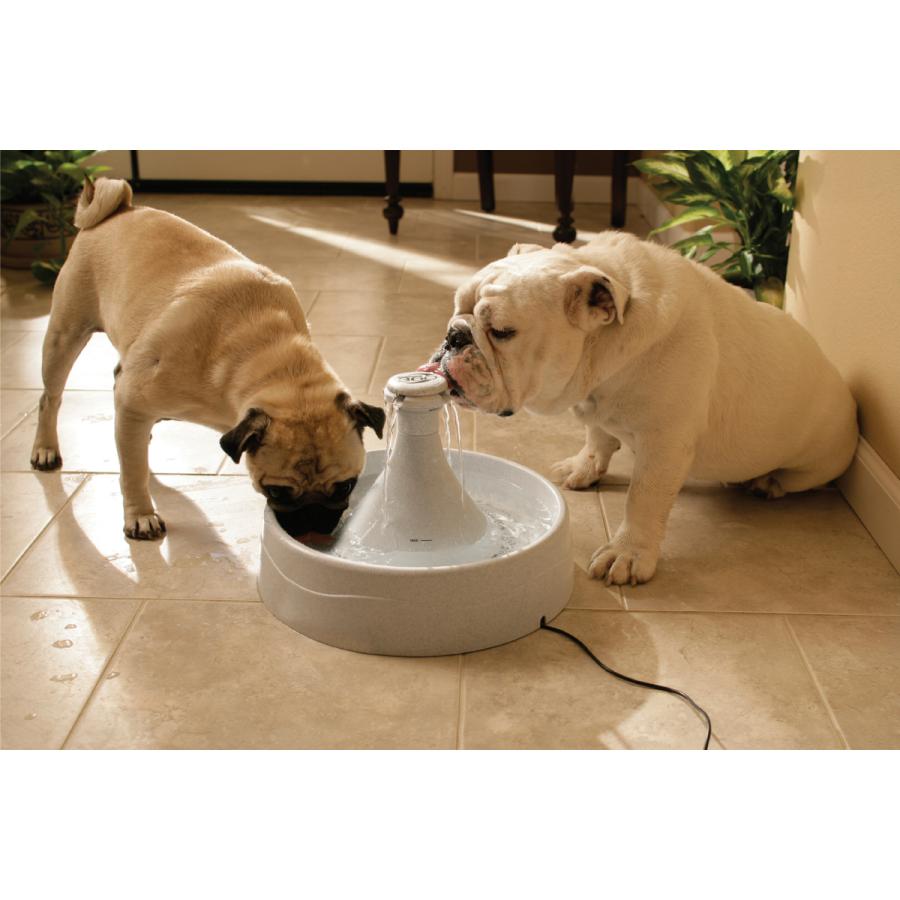 PetSafe ペットセーフ ドリンクウェル 360 ペットファウンテン【送料