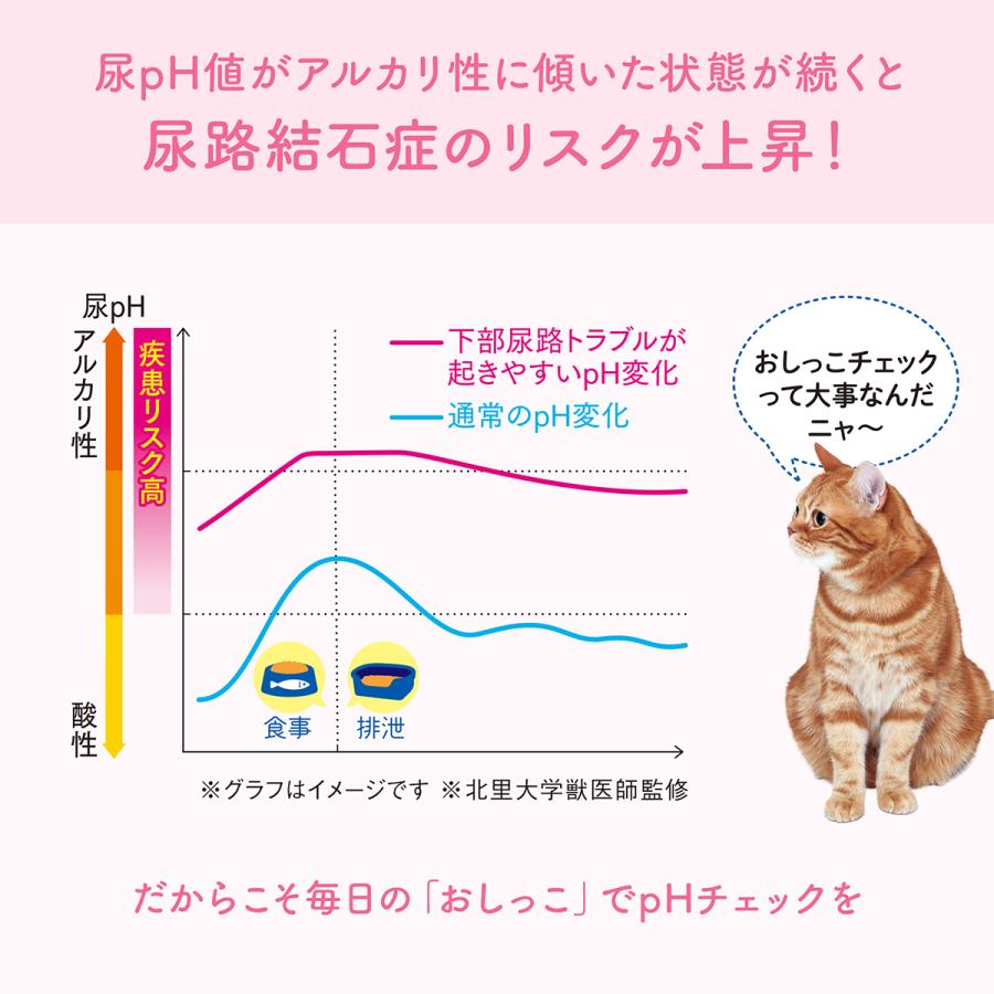 エリエール キミおもい おしっこチェックできる 固まる紙のネコ砂 5L×10袋【送料無料】の画像