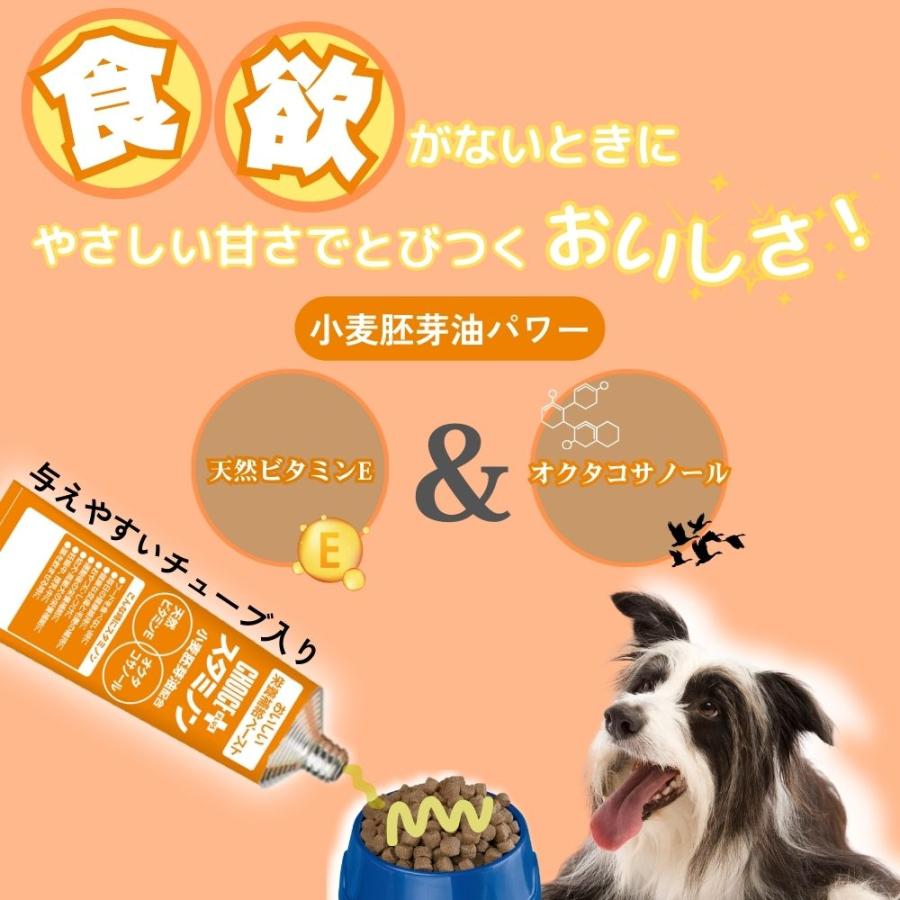 アース ペット 犬用サプリメント チョイスプラス スタミノン 食欲が