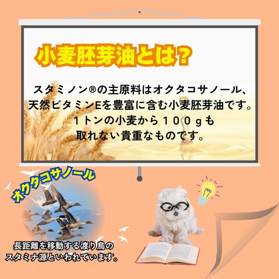 アース ペット 犬用サプリメント チョイスプラス スタミノン 食欲が
