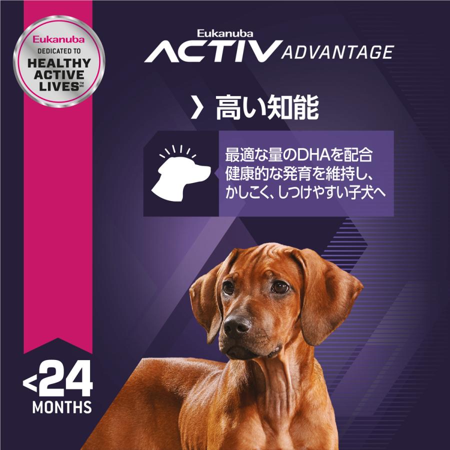ユーカヌバ Eukanuba ドッグフード ラージ パピー 2.7kg 大型犬 子犬用 | ユーカヌバ | 01