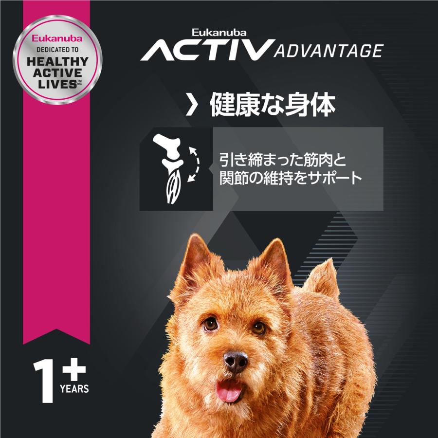 ユーカヌバ（Eukanuba） ドッグフード スモール アダルト 2.7kg 小型犬