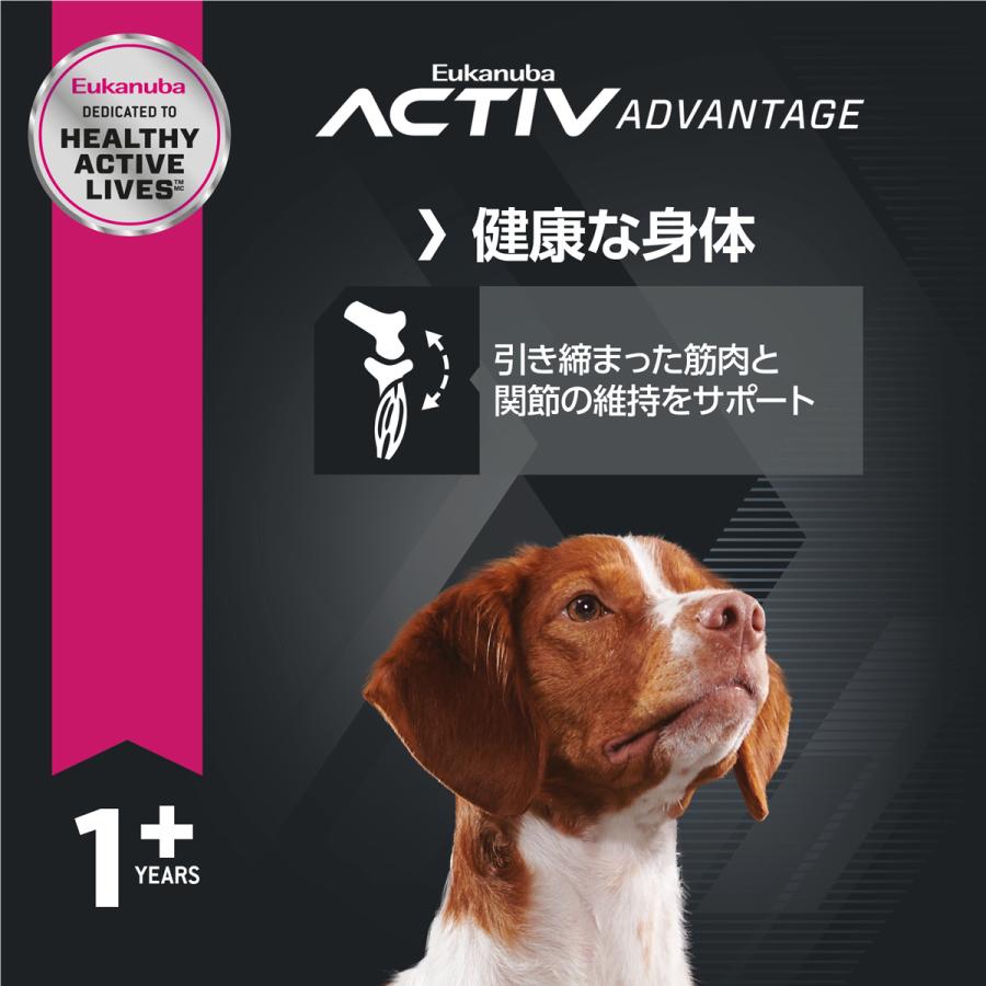ユーカヌバ Eukanuba ドッグフード ミディアム アダルト 7.5kg 中型犬 成犬用 | ユーカヌバ | 01