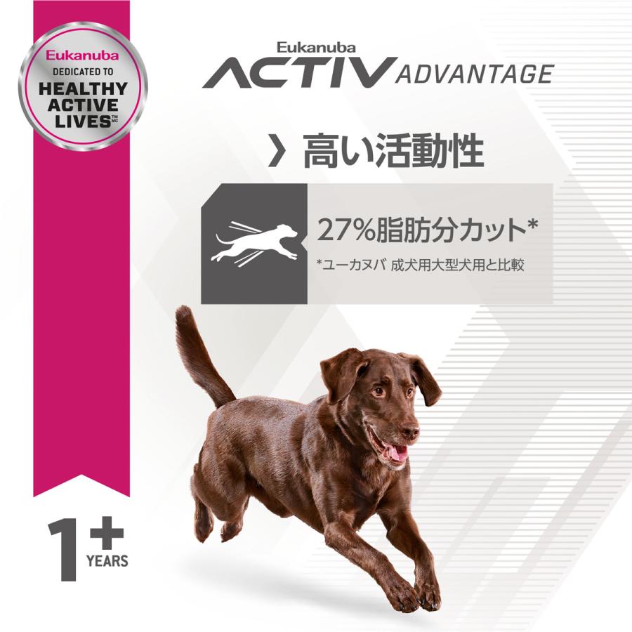 ユーカヌバ（Eukanuba） ドッグフード ラージ フィット ボディ 成犬用