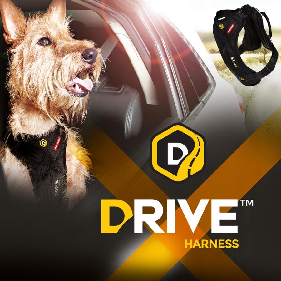 ブランド登録なし - イージードッグ EZYDOG 運転馬具 L 黒いこと 運転グッズ シートベルト 大型犬