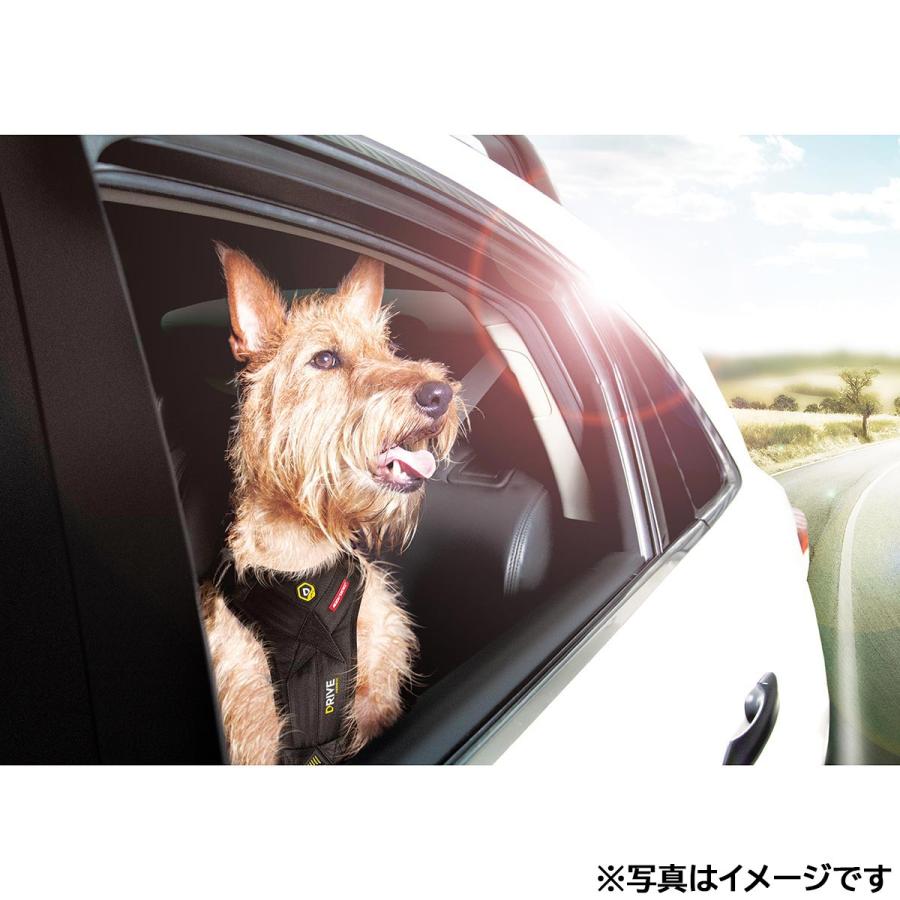 イージードッグ EZYDOG ドライブハーネス L ブラック ドライブグッズ