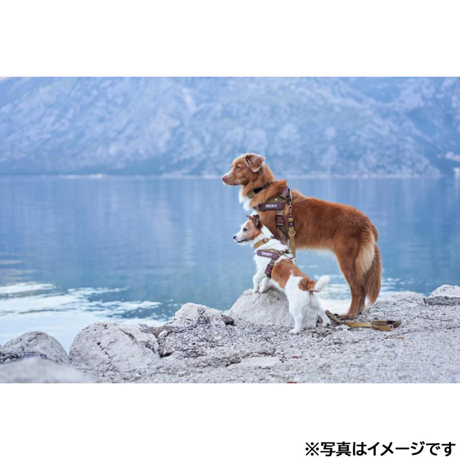 イージードッグ EZYDOG エクスプレスハーネス M コーデュロイ ハンドル付き 反射 中型犬_2