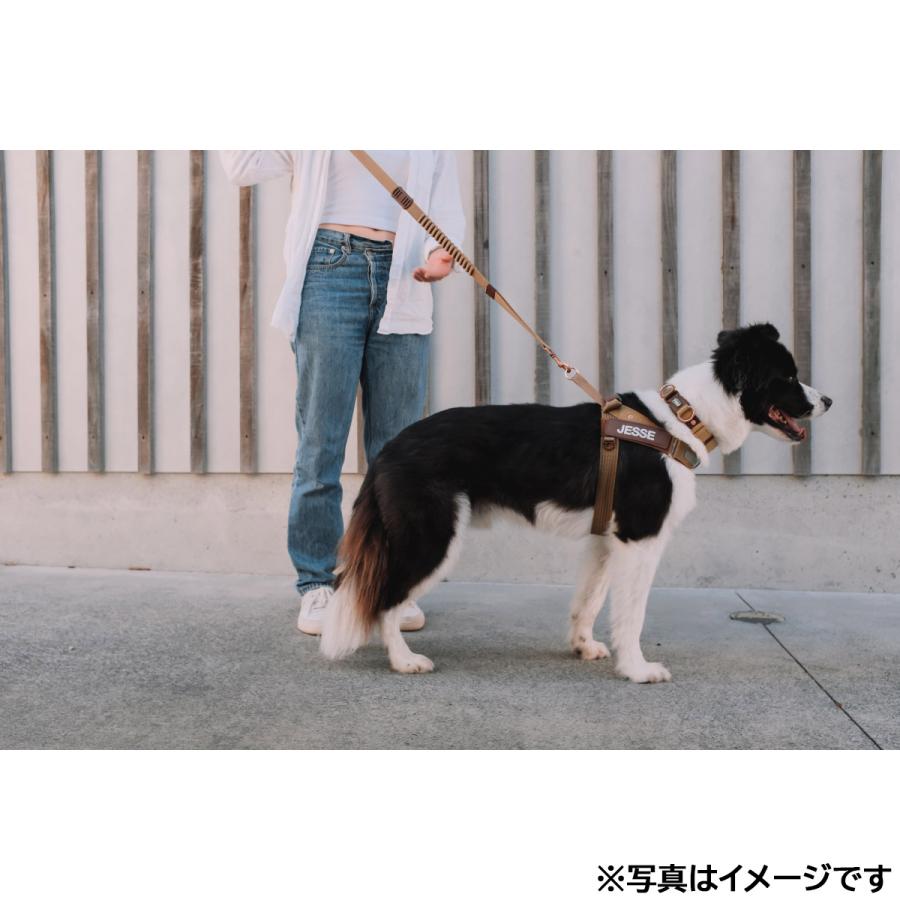 イージードッグ EZYDOG エクスプレスハーネス M コーデュロイ ハンドル付き 反射 中型犬_3
