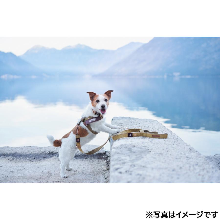 イージードッグ EZYDOG エクスプレスハーネス M コーデュロイ ハンドル付き 反射 中型犬_4