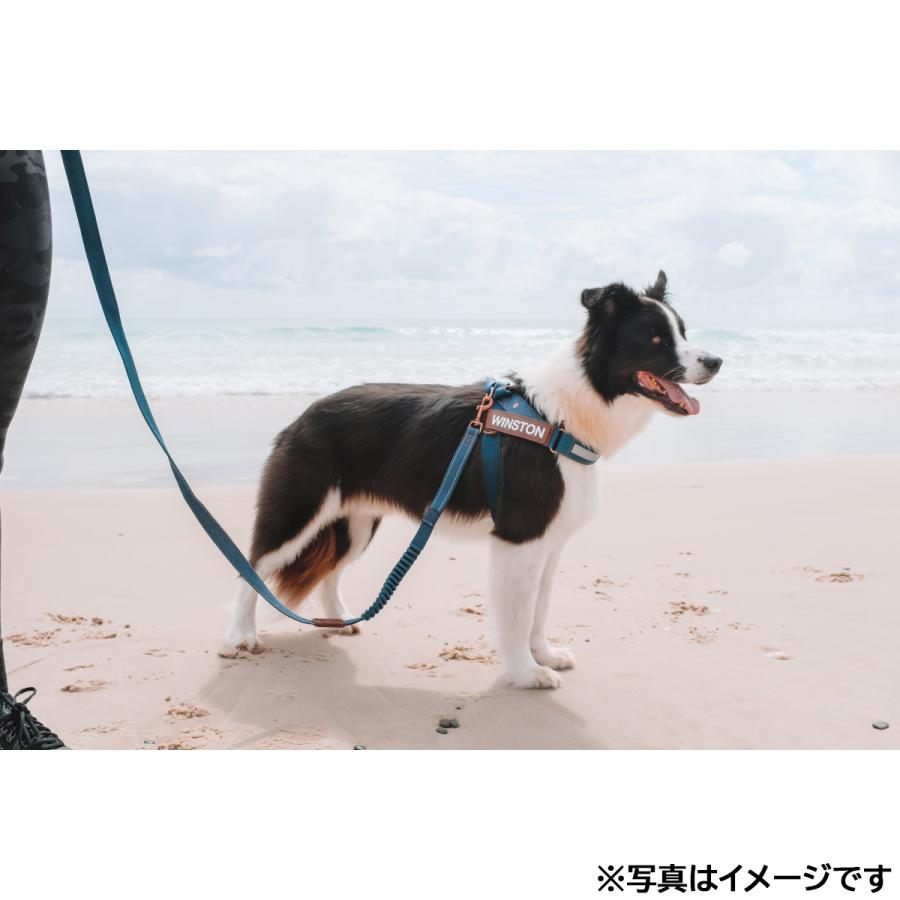 イージードッグ EZYDOG エクスプレスハーネス L デニム ハンドル付き