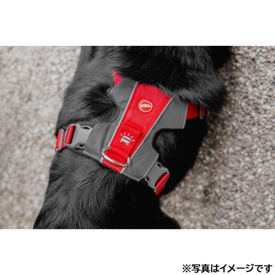 イージードッグ EZYDOG エックスリンクハーネス XS ブラック 胴輪 小型