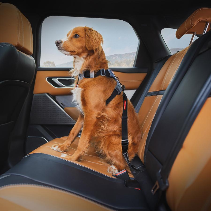 イージードッグ EZYDOG クリックISOFIX ブラック ドライブ用品 カー