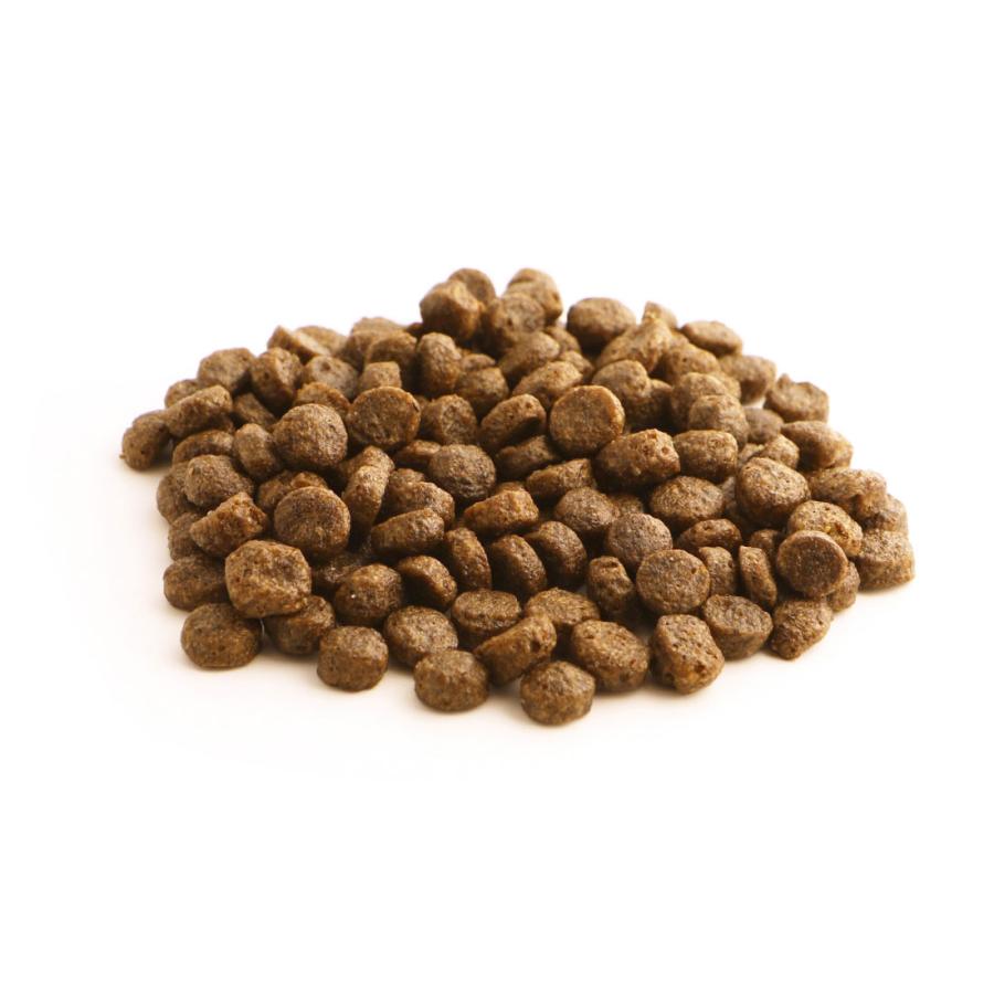 フィッシュ４ドッグ　ホワイトフィッシュ１５キロ Amazon.co.jp: フィッシュ4ドッグ ドッグフード オーシャン