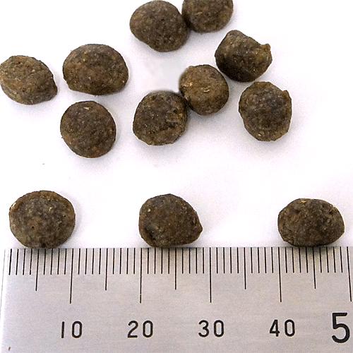 フィッシュ4ドッグ スーペリア アダルト 400g 無添加 ドッグフード 成犬用 グレインフリー | フィッシュ4 | 02