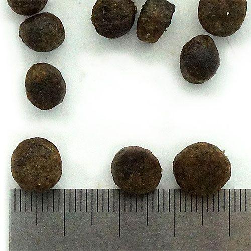 フィッシュ4ドッグ スーペリア パピー 400g 無添加 ドッグフード 子犬用 グレインフリー | フィッシュ4 | 02
