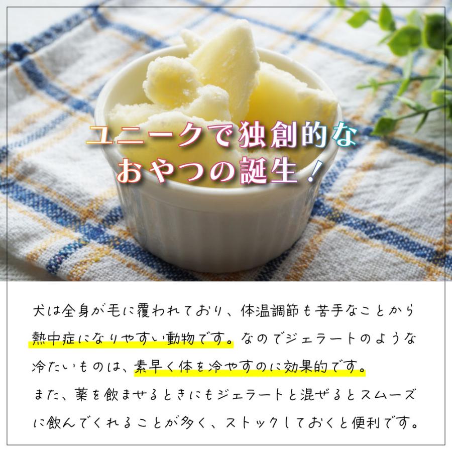 ベロプロ VPX トレーニングチューブ ベロプロ トレーニングチューブ