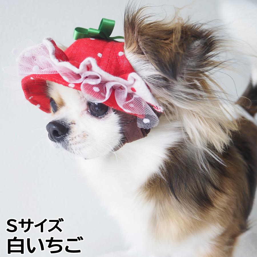 犬の帽子 ガーデンオブエデン いちごフリルハット Sサイズ 白いちご