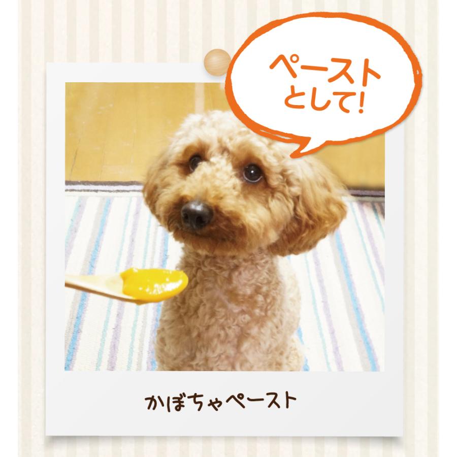 HappyDays 大地からの贈り物 素材100%野菜フレーク かぼちゃ 35g 犬 おやつ ふりかけ 無添加 国産 シニア | PetPro | 06