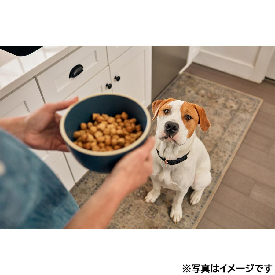 オネストキッチン HONEST KITCHEN ドッグフード クランチ グレインフリー チキン 450g×6個セット |  | 03