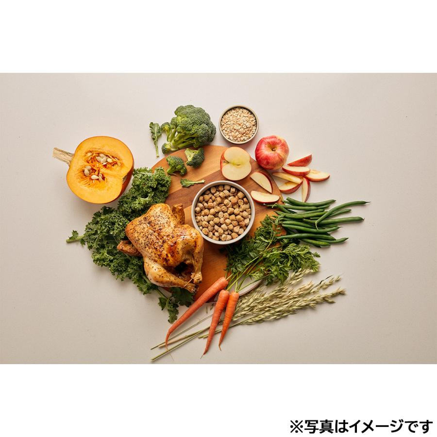 オネストキッチン HONEST KITCHEN ドッグフード クランチ グレインフリー チキン 1.8kg×8個セット |  | 07
