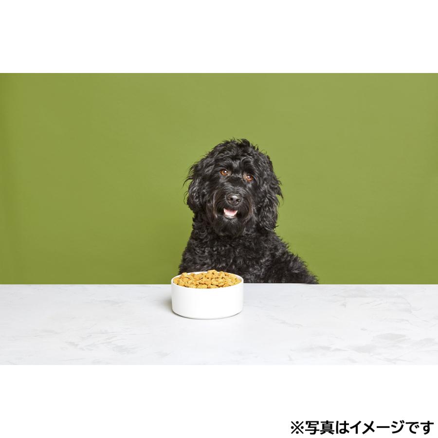 オネストキッチン HONEST KITCHEN ドッグフード クランチ グレインフリー チキン 1.8kg×8個セット |  | 08