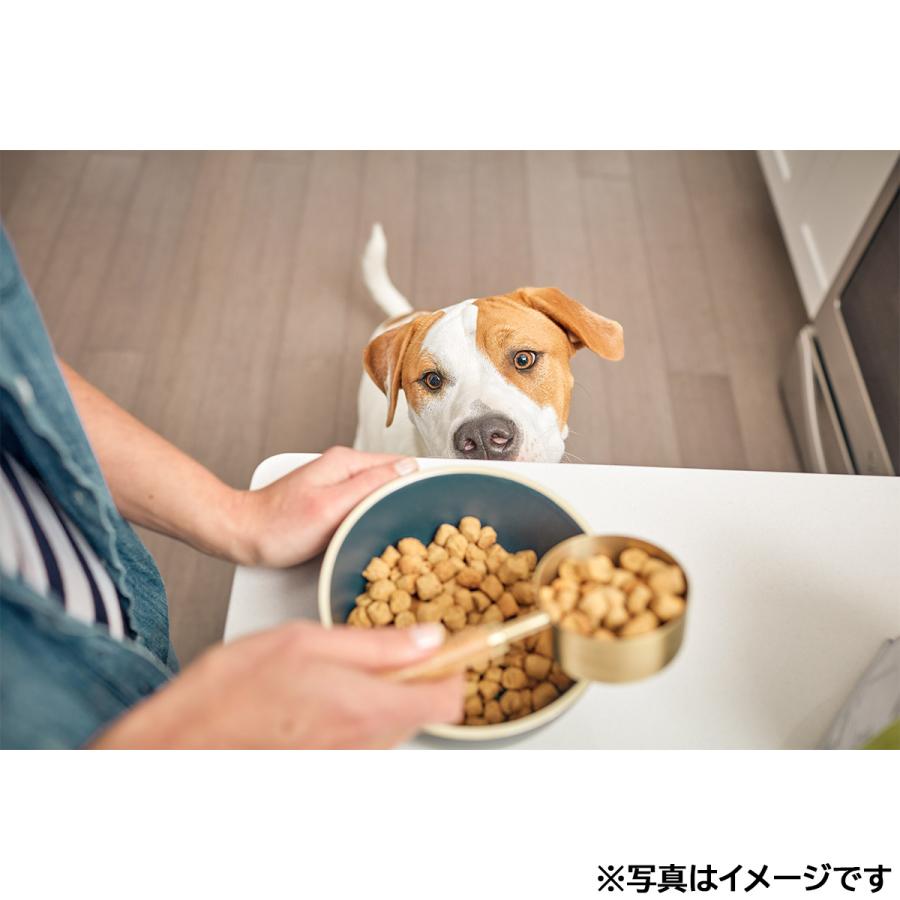 オネストキッチン HONEST KITCHEN ドッグフード クランチ グレインフリー チキン 50g×24個セット |  | 02