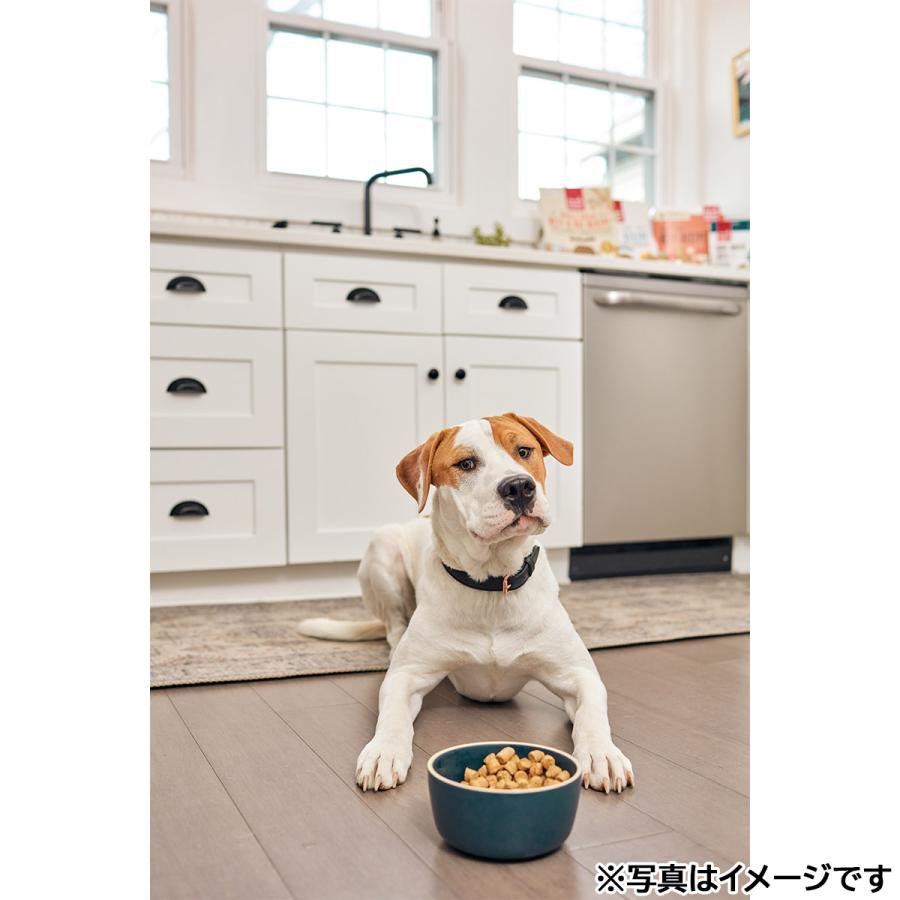 オネストキッチン HONEST KITCHEN ドッグフード クランチ グレインフリー チキン 50g×24個セット |  | 04
