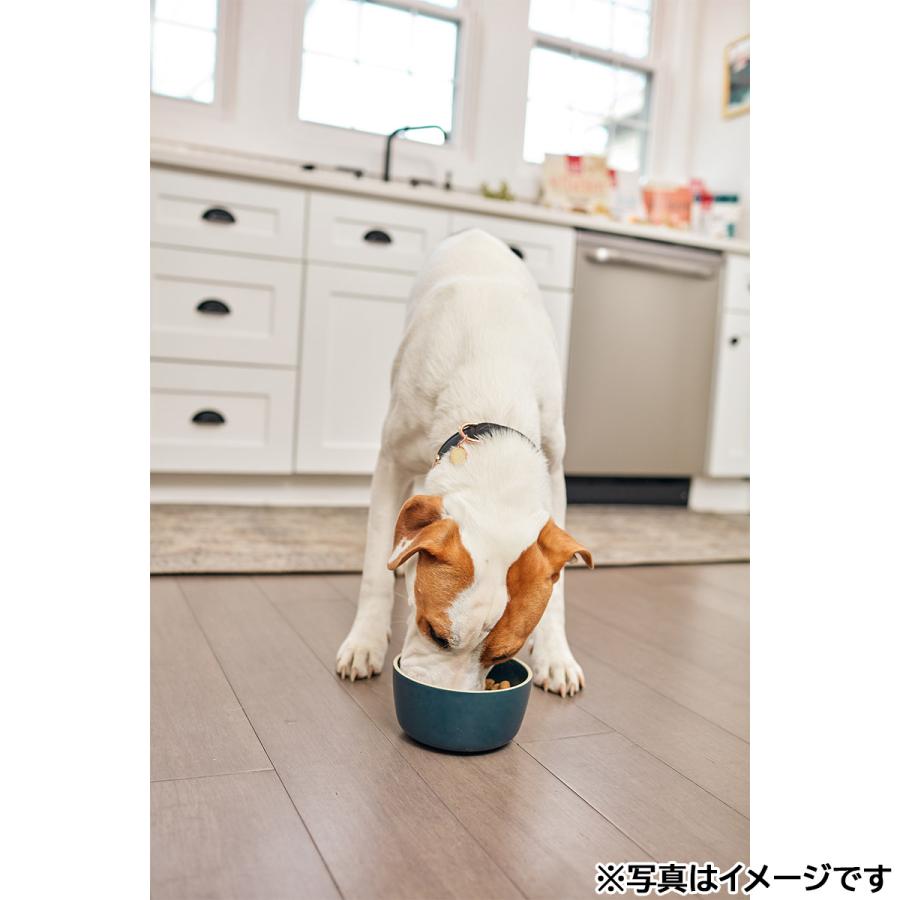 オネストキッチン HONEST KITCHEN ドッグフード クランチ グレインフリー チキン 50g×24個セット |  | 05