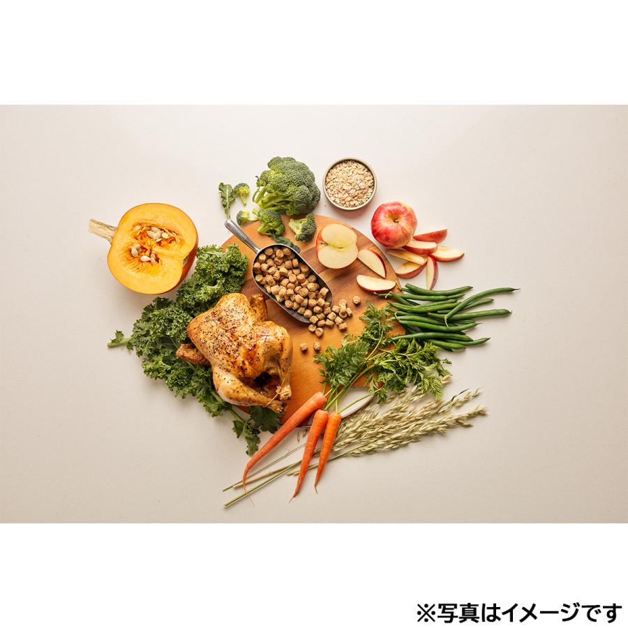 オネストキッチン HONEST KITCHEN ドッグフード クランチ グレインフリー チキン 50g×24個セット |  | 06