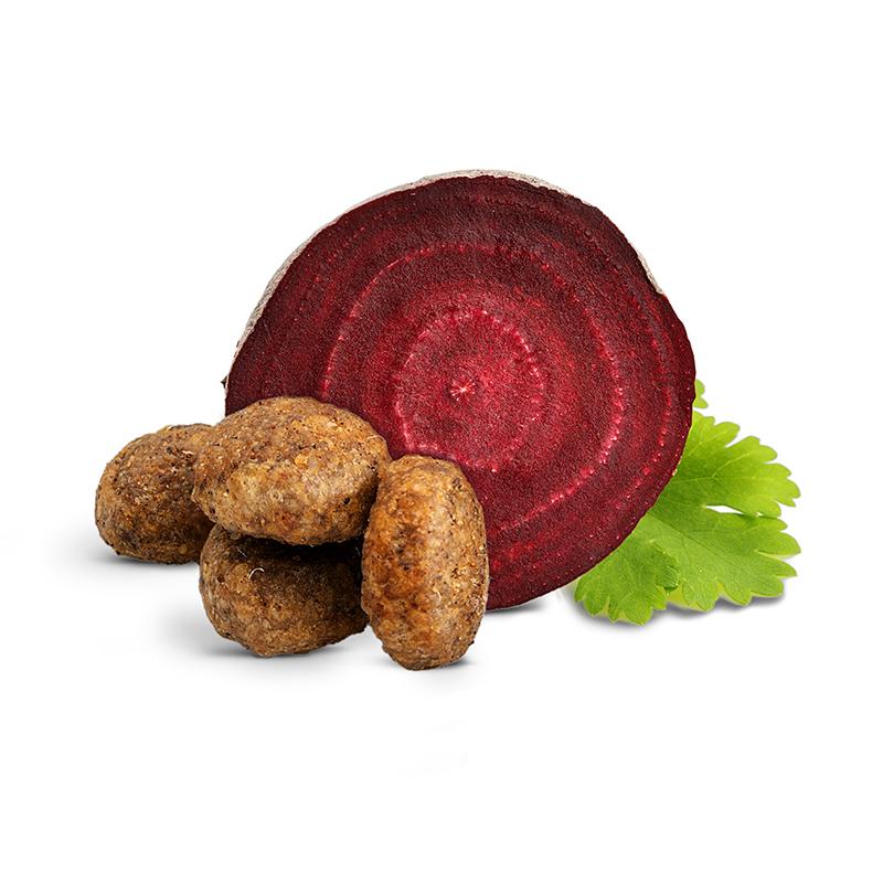 ハッピーキャット キャットフード シニア アトランティック サーモン  