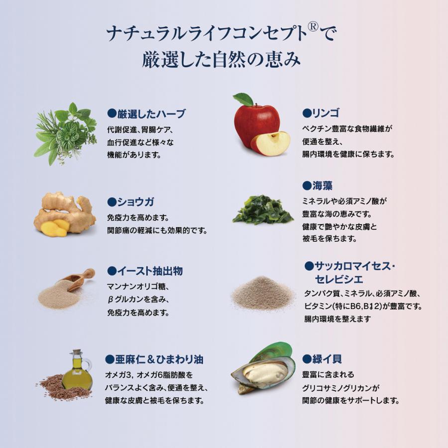 ハッピーキャット キャットフード シニア アトランティック サーモン  