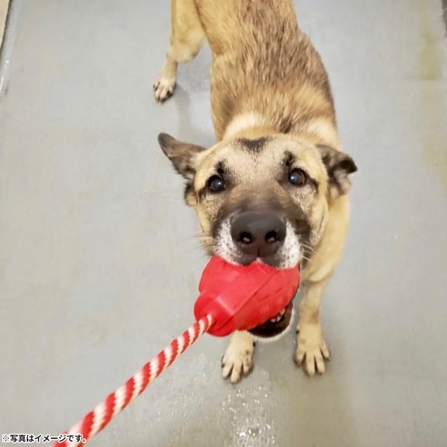 ソダパップ USA-K9 タグトイ グレネードタグトイ M レッド ドッグトイ