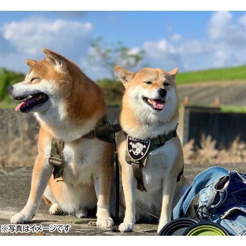 キロナイナー M1 ライトスピード ハーネス XXS Ranger Green 胴輪 小型