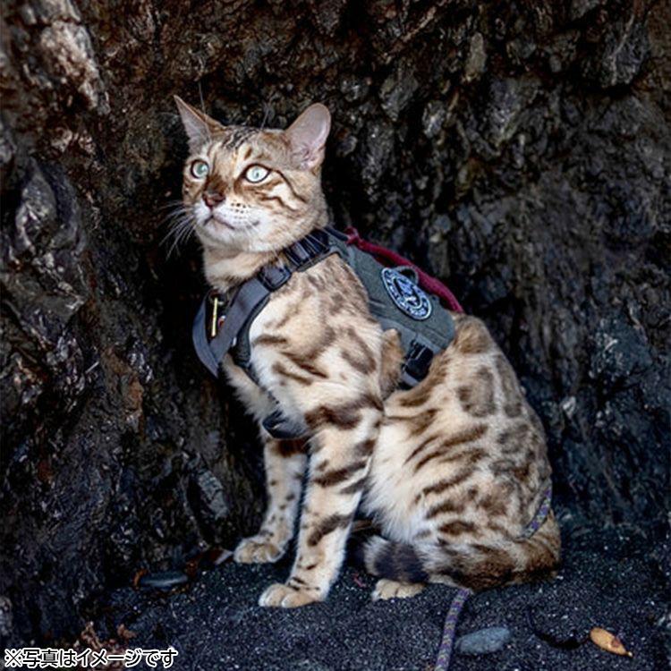 KILONINER キロナイナー M5ライトハーネス XXS Ranger Green 胴輪