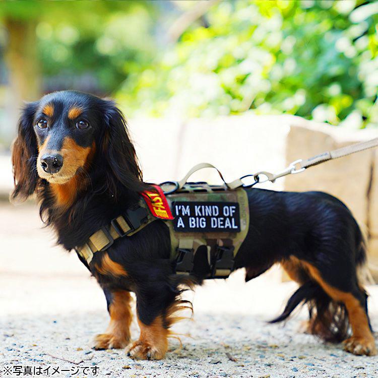 KILONINER キロナイナー M5ライトハーネス XXS Ranger Green 胴輪